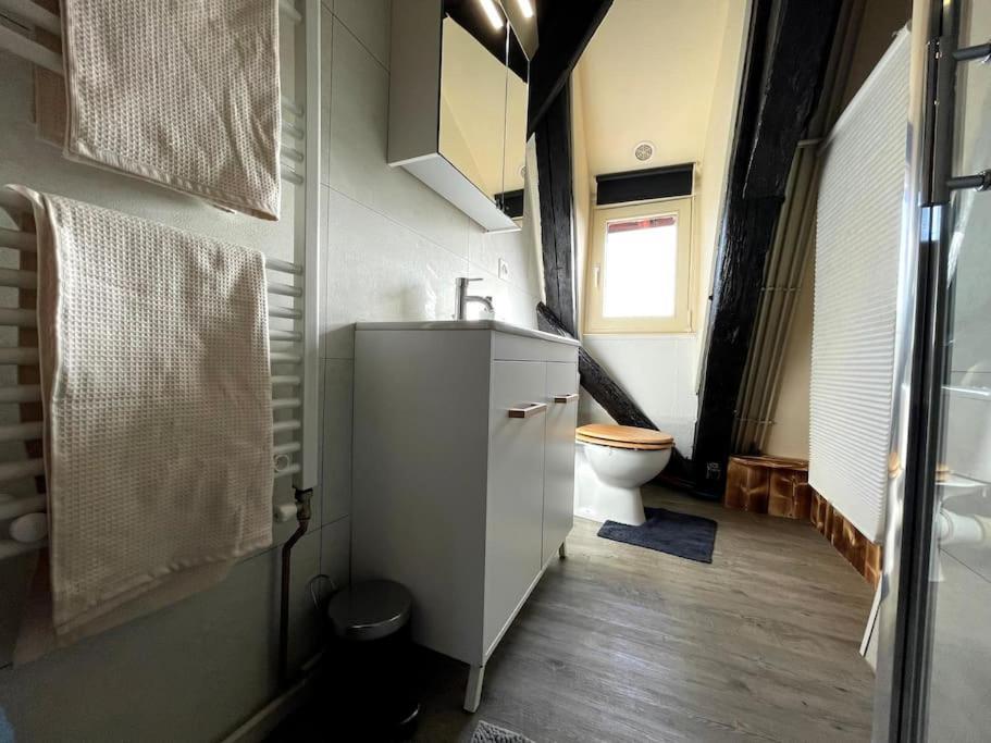 Selestat Centre - L'Unique - 4 Pers - Cosy Leilighet Eksteriør bilde